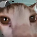 supacheeseman_13784