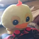 patoduck2009_65616 avatar