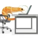 dkayedstepson's Avatar