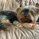 pedro028357