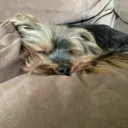 pedro028357