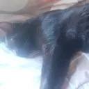 juansito123238 avatar