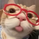 lewthegreatshrx