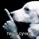 avatar твоя мамочка