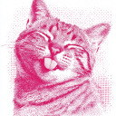 avatar твоя мамочка