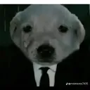 makoto_god_yuli_27781 avatar