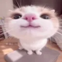l0rdbarsik