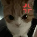ninja_bby