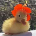 mini_toxicraider7