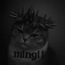 m1ngl1