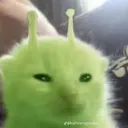 vortexblacklord69 avatar