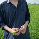 rai.mrkx05