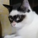 milesgames2210