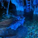 stelli0467_45902 avatar