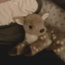 maplesyrupz. avatar