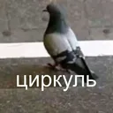 nasiixt