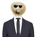 Аватар lubitel2703