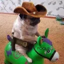 mbappea_prime avatar