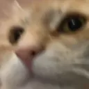 mrfiskpinne_12