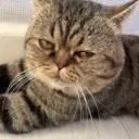 cassius638_93556 avatar