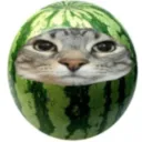 ater_welon