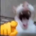 Аватар nouneim0886