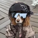 authgodonvryt