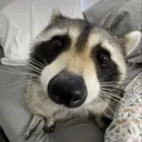 nickkxd._36770 avatar