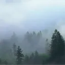 jesseonnyt2
