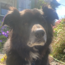 tree_rammer#0583's avatar