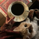 avatar Inès ايناس ⋆ 𝜗𝜚˚