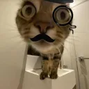 Аватар therm_tt_45370