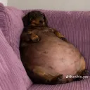 misael0_0._18337 avatar