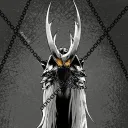 The Hollow Knight's Avatar