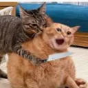 itzkillercat