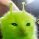 ima_robloxer