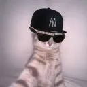 rehanxraaz