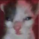 xisorm avatar