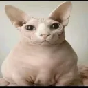 the_spyzz