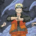 nero.0bird avatar