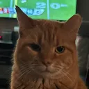 cosxo