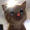 cqminito