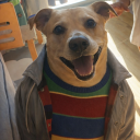 avatar DipshitCruz7🎈