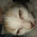 avatar ☆ F¡§h ★