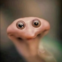 avatar Змея Ладонь