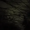 dokbm_2