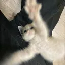 0h5s