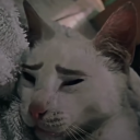 Drift.RIP Discord User Avatar