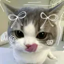 luvcat_789