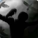 hvq0